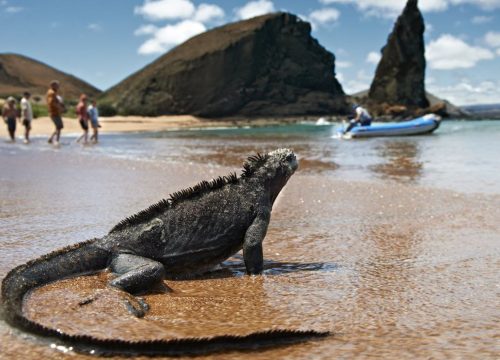 Discover The Ecuadorian Wonders In Galapagos. Shared 11D/10N