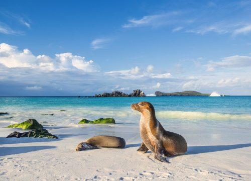 Explore the Wonders Of Galapagos. Shared 5D/4N