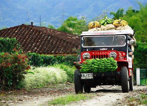 Vive Colombia! Bogota-Villa de Leyva-Pereira-Santa Marta-Cartagena. PRIVATE