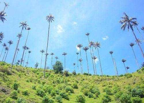 Iconic Colombia: Bogota + Medellin + Pereira + Cartagena + Santa Marta. PRIVATE