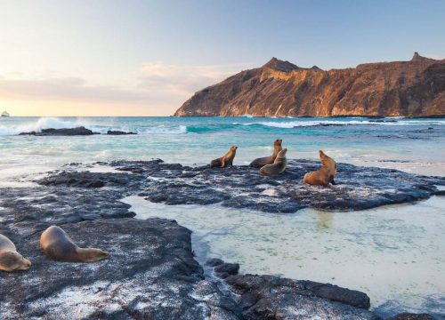 Unveiling the Hidden Gems Of Galapagos Islands. Shared 9D/8N