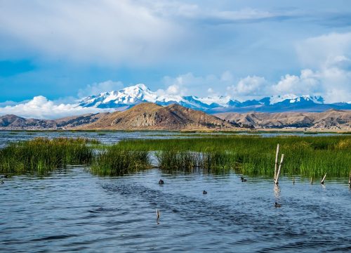 Titicaca Lake & Sun Island. SHARED